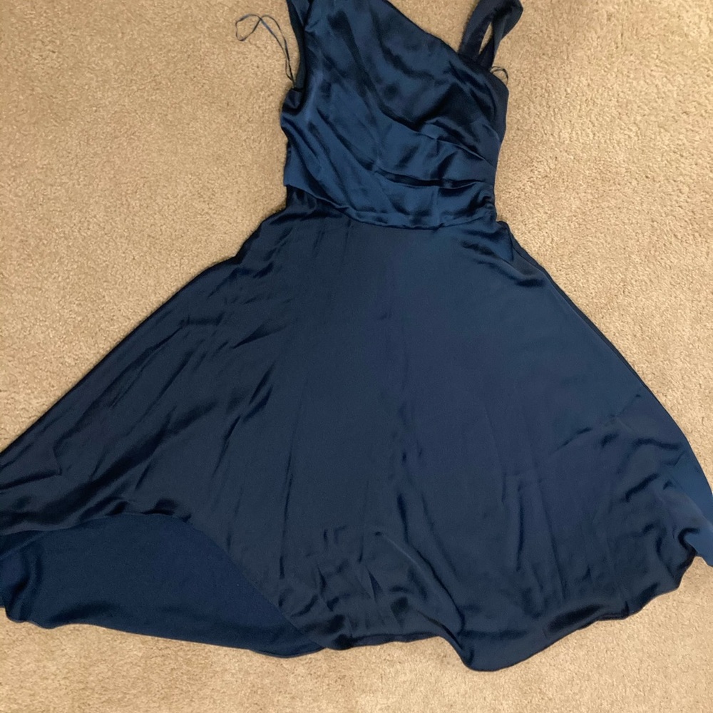 Beautiful frees blue for